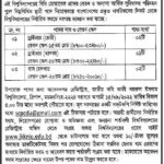 জাতীয় কবি কাজী নজরুল ইসলাম বিশ্ববিদ্যালয়ে নিয়োগ