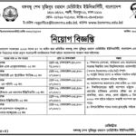 Bangabandhu Sheikh Mujibur Rahman Maritime University শিক্ষক নিয়োগ