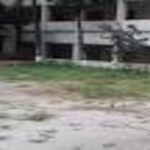 উপাধ্যক্ষ ও কর্মচারী নিয়োগ দিবে পরানপুর ফাজিল মাদরাসা,