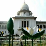 রাজনীতি কোনো পেশা হতে পারে না: হাইকোর্ট