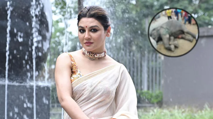 হাতি আমার মনোরম কল্পনার প্রাণী: জয়া