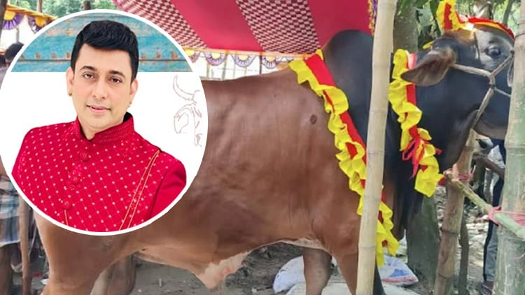 গরুর নাম ‘জায়েদ খান