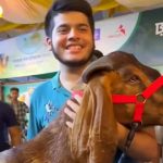 অর্ধকোটি টাকার কোরবানির পশু কর্মকর্তার ছেলের