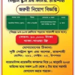 শিক্ষক নিয়োগ দিবে সৃষ্টি সেন্ট্রাল স্কুল এন্ড কলেজ